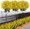 21 Bundles Artificial Outdoor UV Resistant Flowers No Fade (Yellow) 12.5"D x 3.2"W x 3.2"H